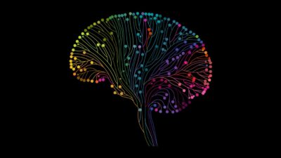 Aktivnosti koje pripremaju mozak na učenje i oslobađaju od stresa