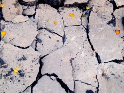 Potres – kako si možemo pomoći?